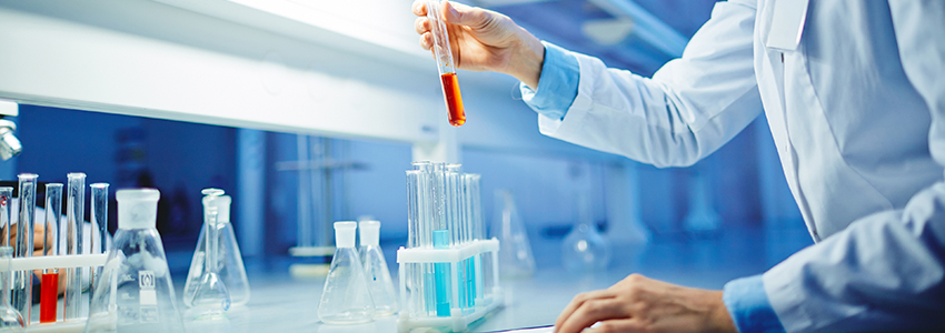 Cell culture