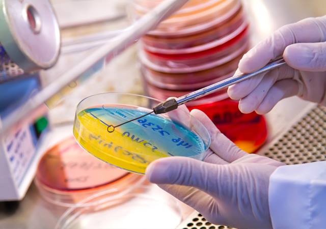 Molecular Biology